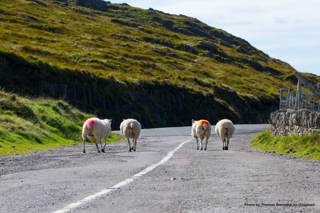 3 Days in Ireland